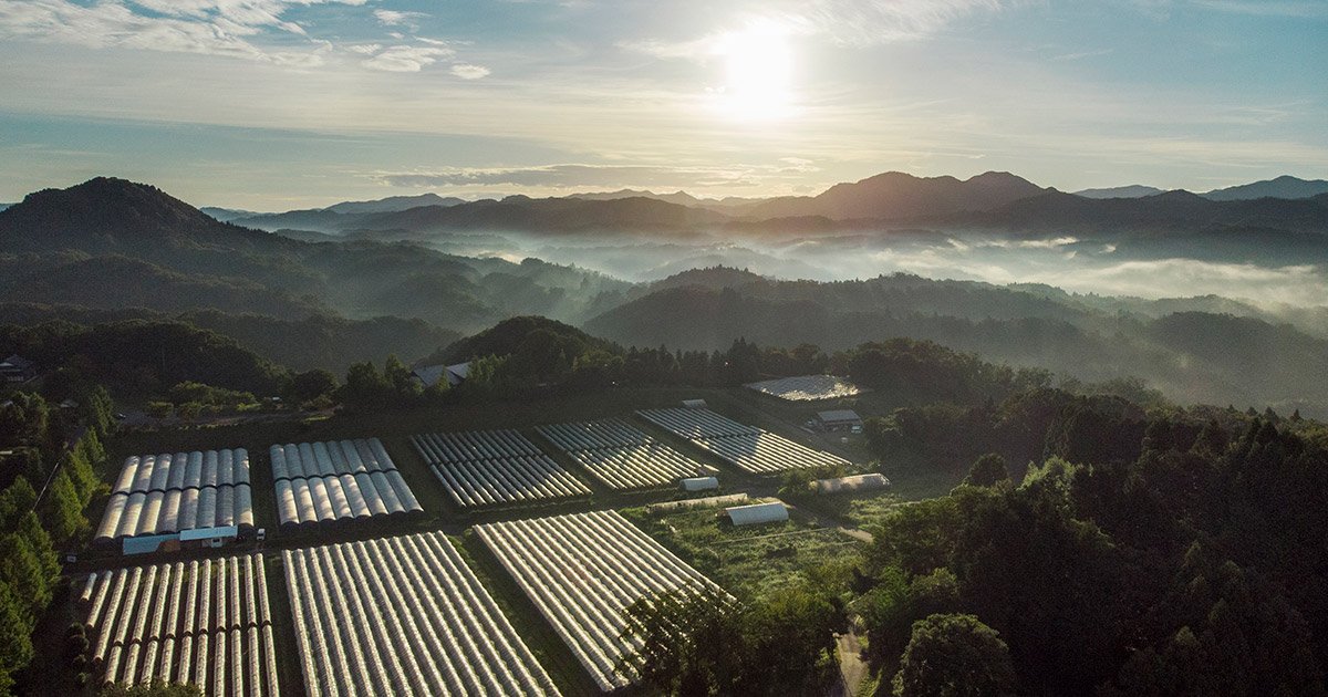 🍇 오쿠이즈모 포도원(오쿠이즈모 부도엔) 이미지 1